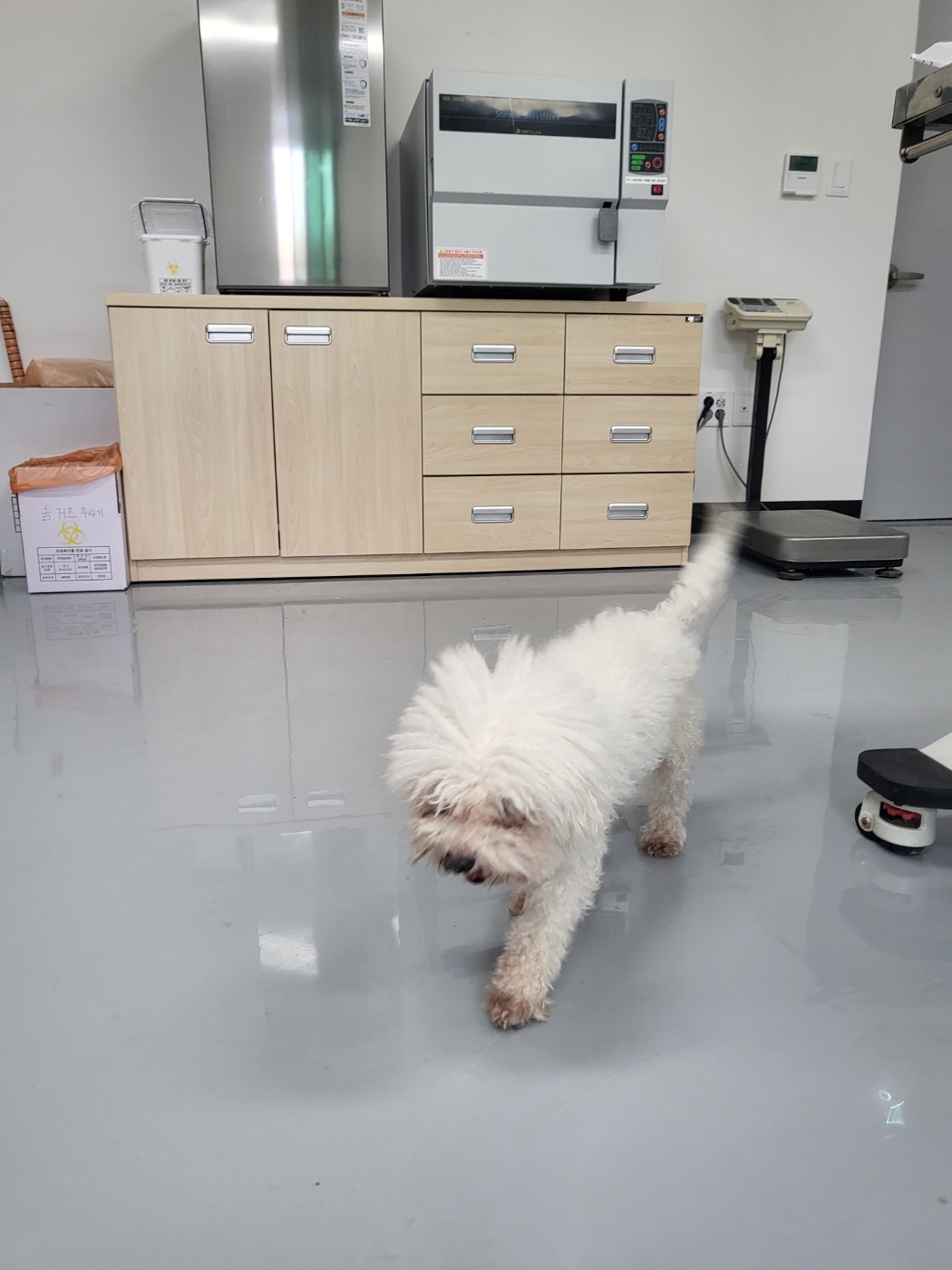 구미시 동물보호센터_447508202500430